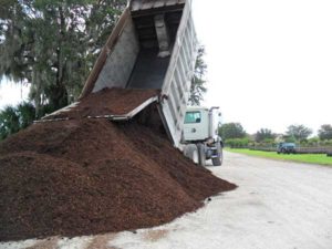 Reliable Peat delivers in Florida