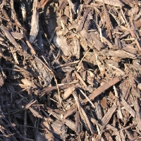 Chocolate Mulch