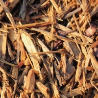 Cypress Mulch